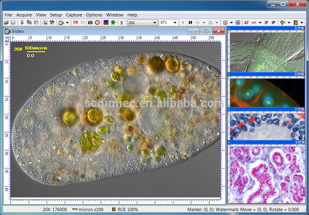 cooling tech usb microscope software