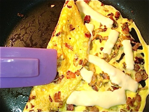 kitchen gourmet electric omelet maker recipes